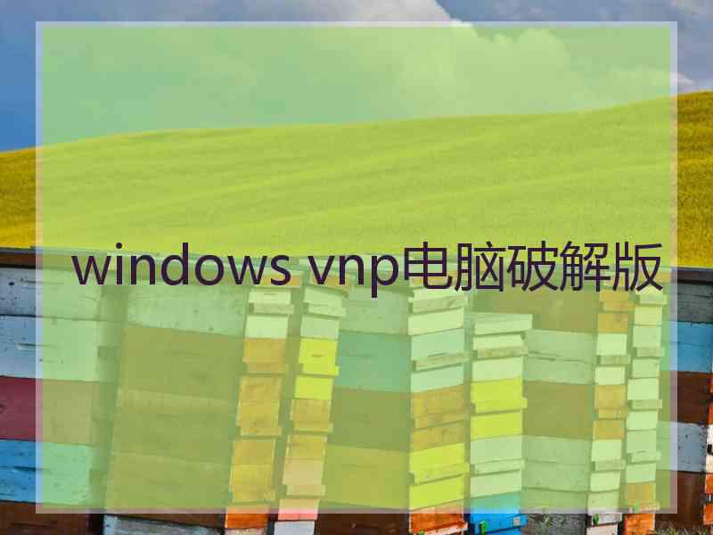 windows vnp电脑破解版
