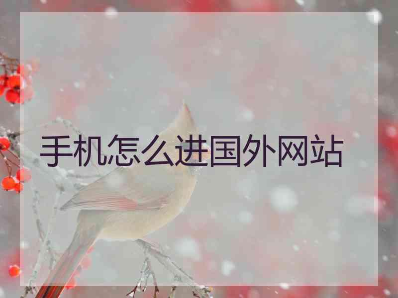 手机怎么进国外网站