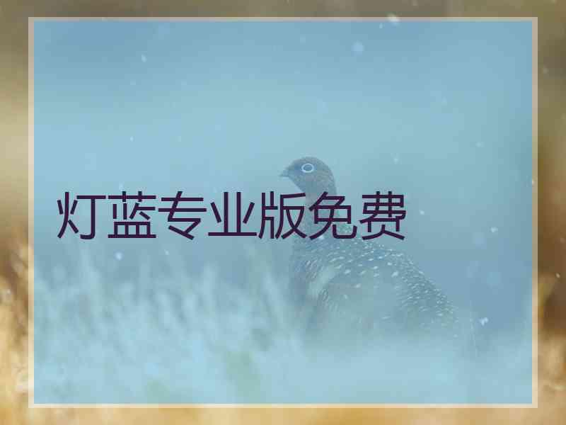 灯蓝专业版免费