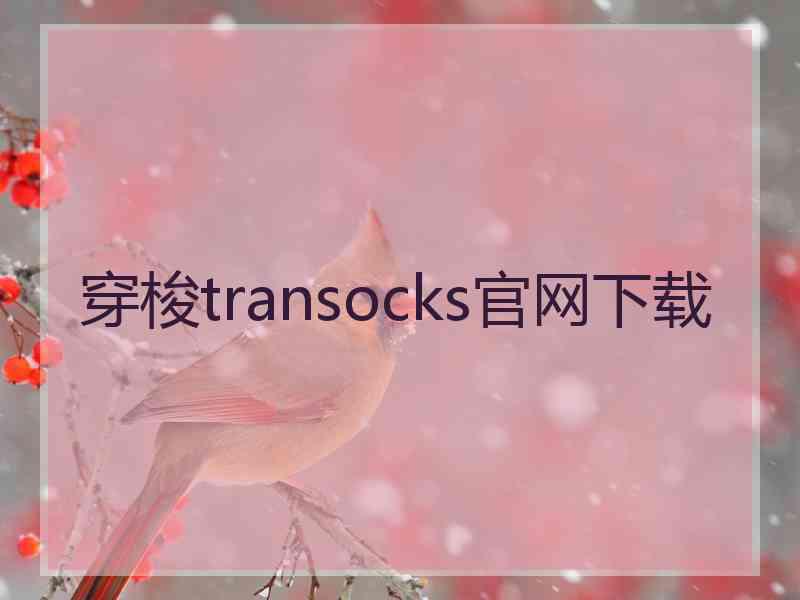 穿梭transocks官网下载