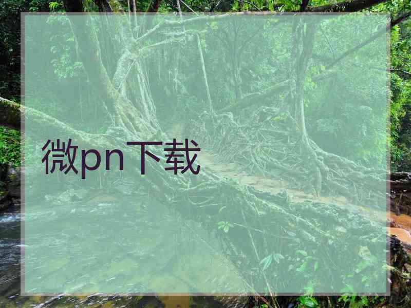 微pn下载