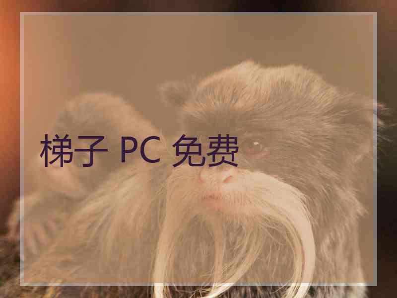 梯子 PC 免费