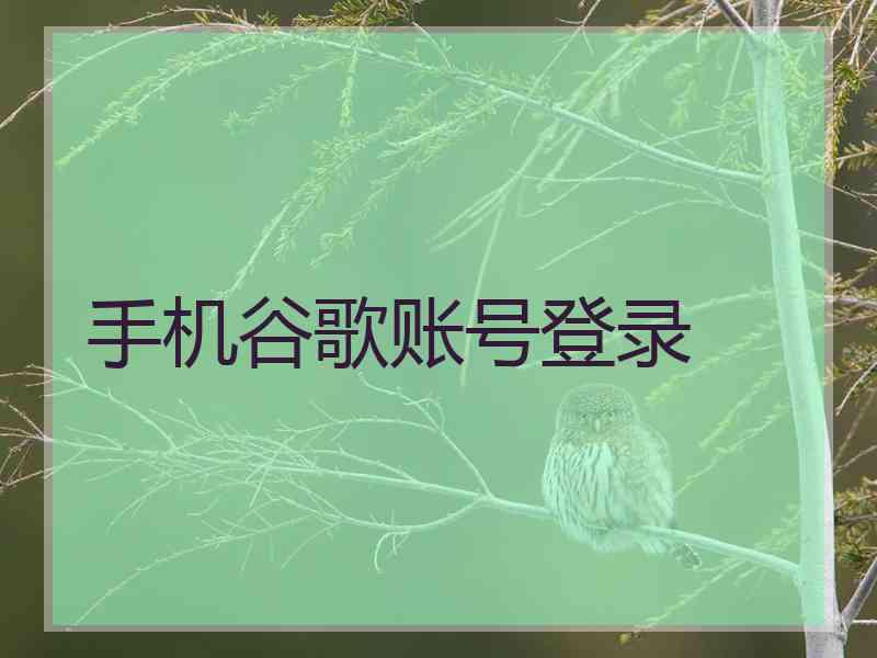 手机谷歌账号登录