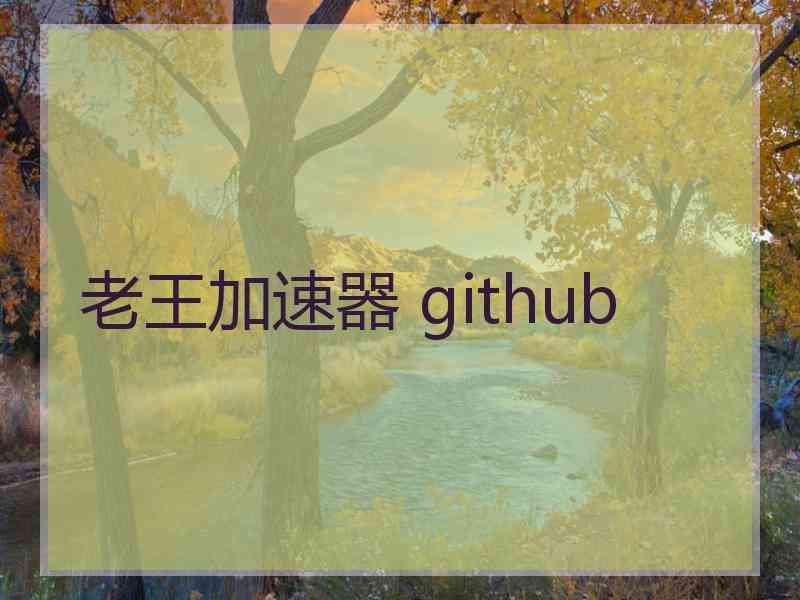 老王加速器 github