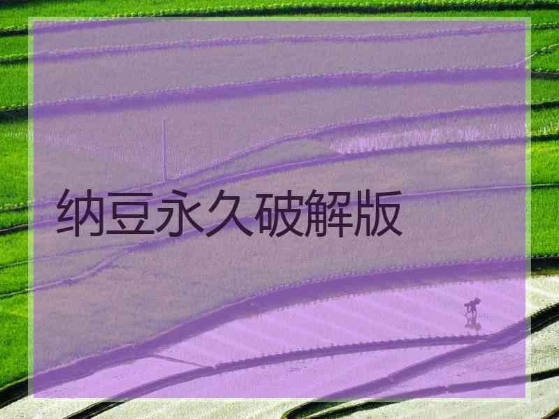 纳豆永久破解版