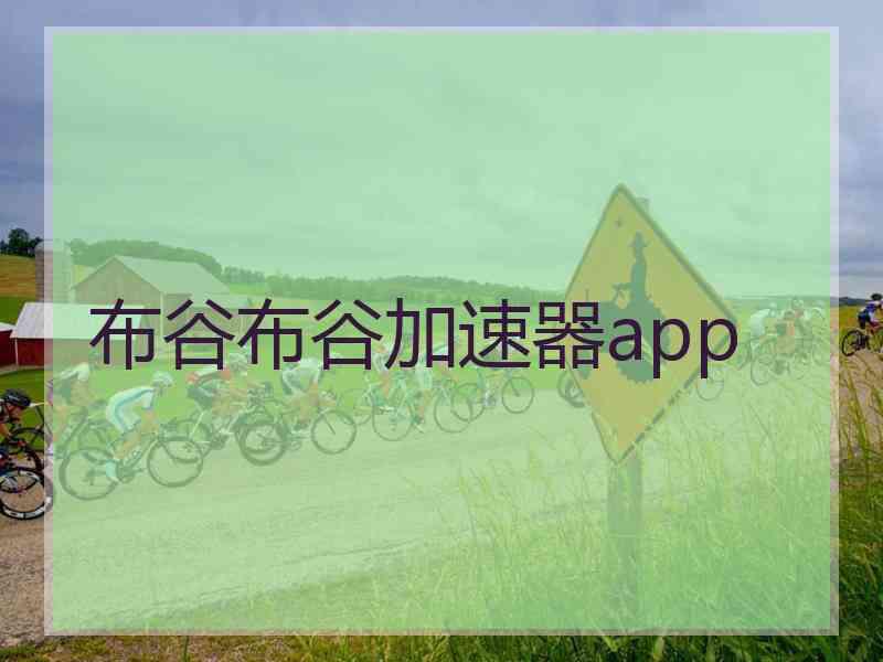 布谷布谷加速器app