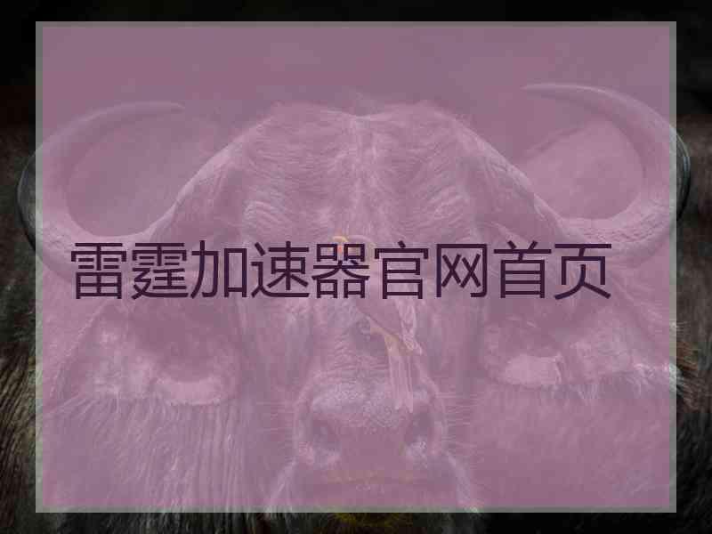 雷霆加速器官网首页