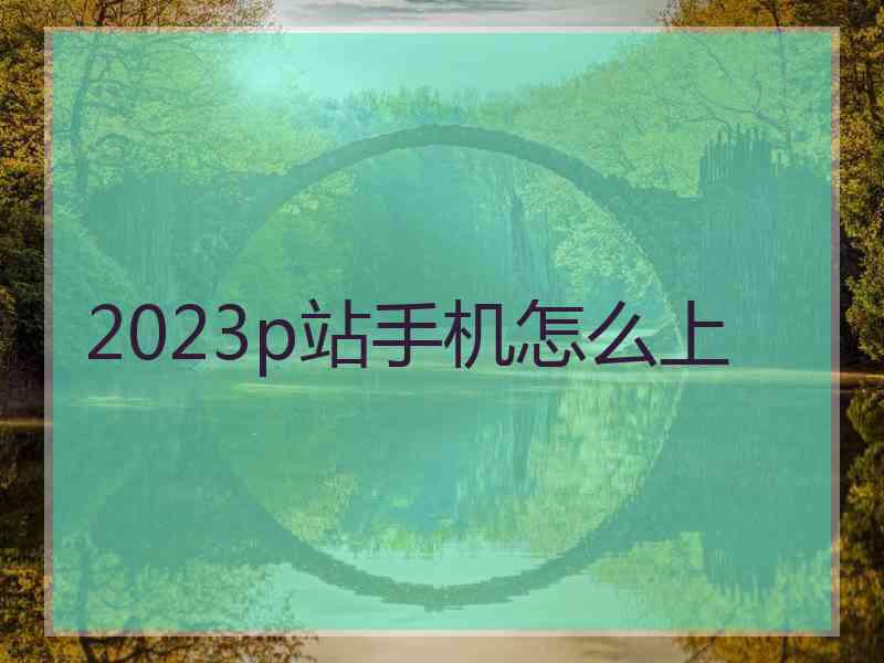 2023p站手机怎么上