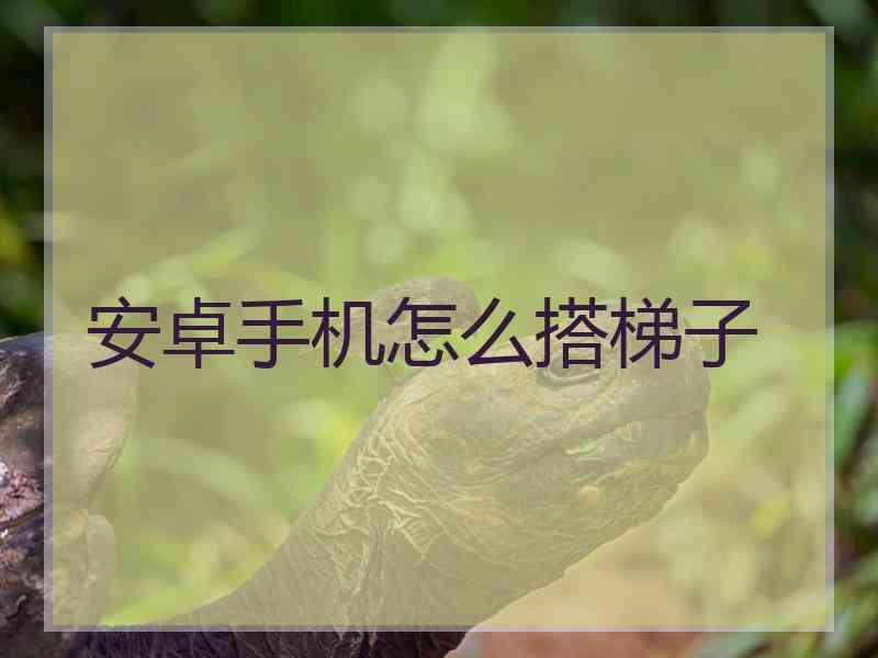 安卓手机怎么搭梯子