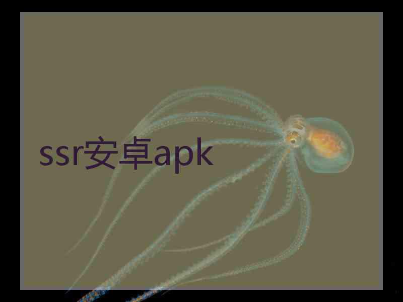 ssr安卓apk