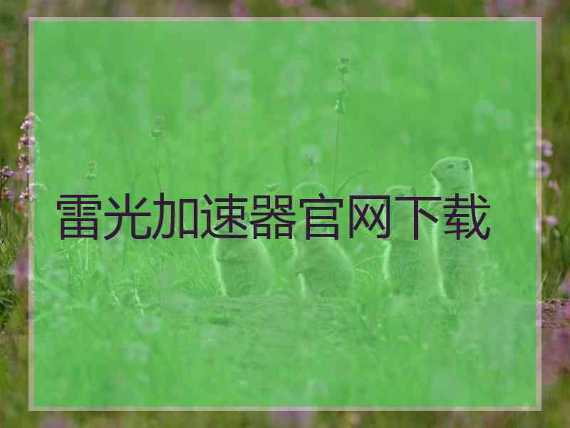雷光加速器官网下载