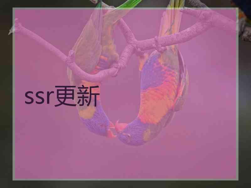 ssr更新