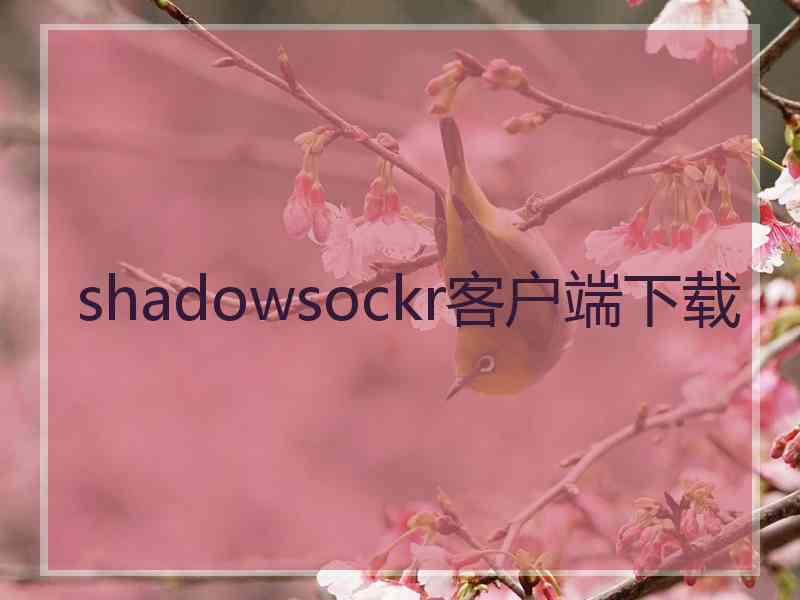 shadowsockr客户端下载
