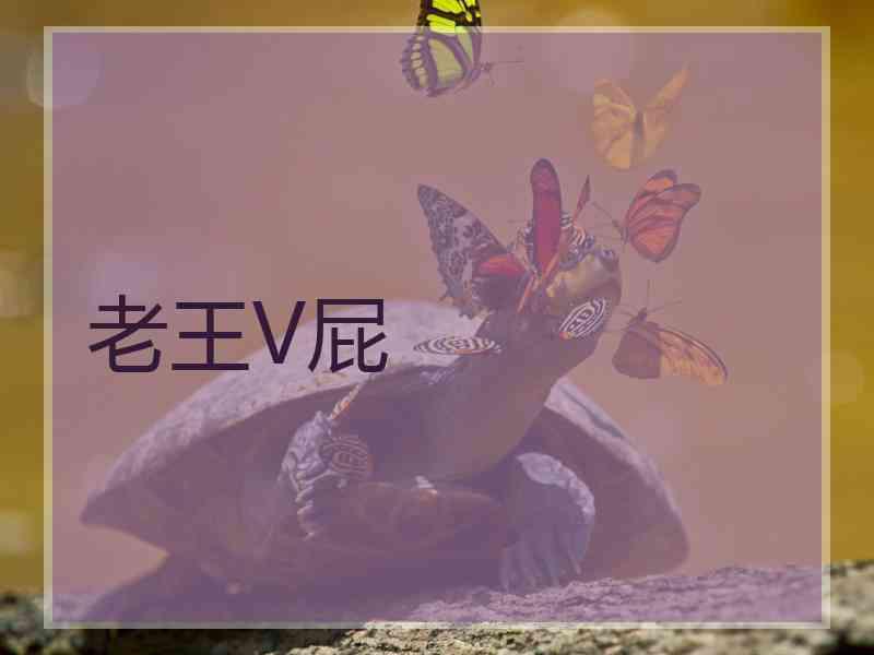 老王V屁