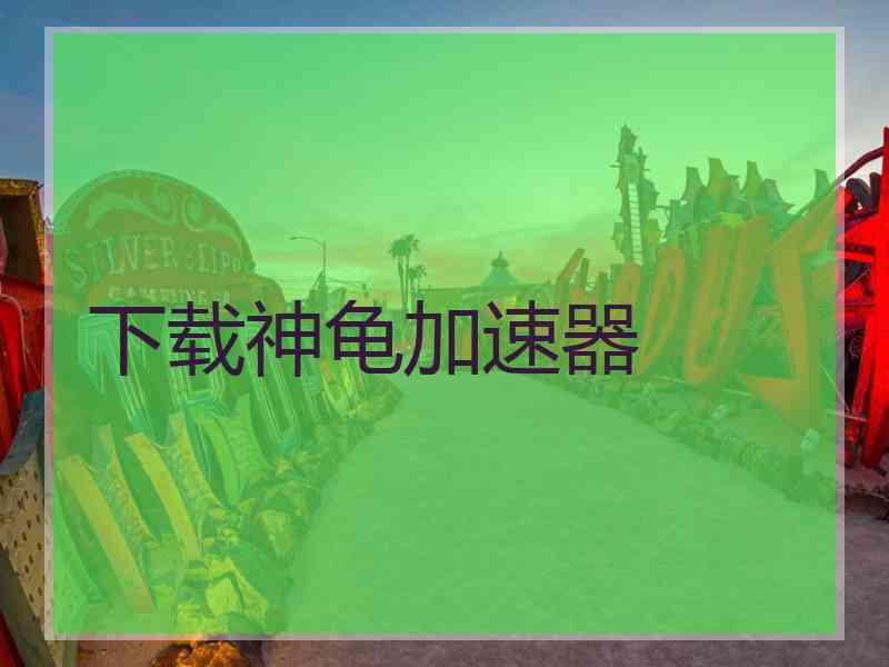 下载神龟加速器