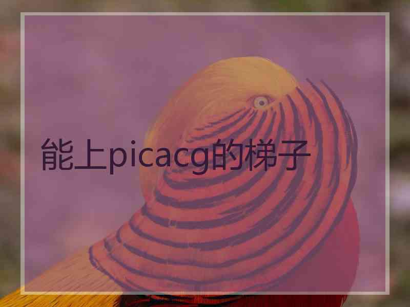 能上picacg的梯子