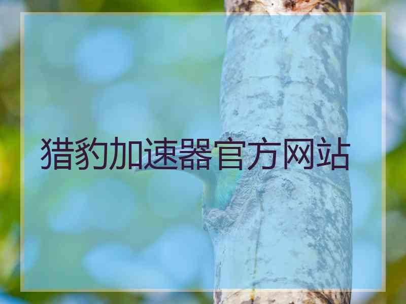 猎豹加速器官方网站