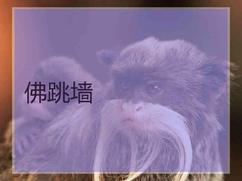 佛跳墙