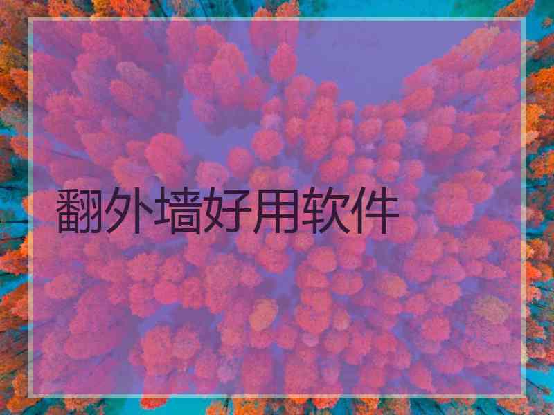 翻外墙好用软件