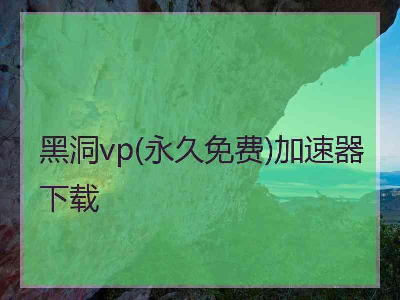 黑洞vp(永久免费)加速器下载