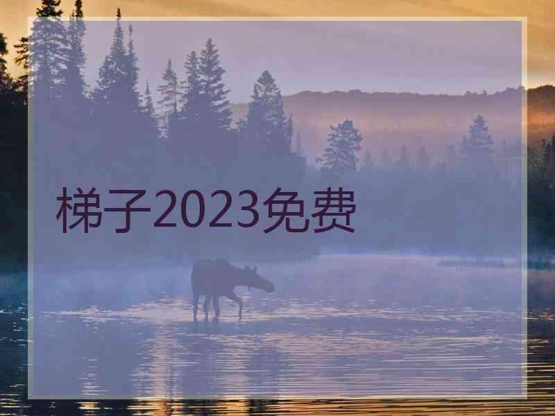 梯子2023免费
