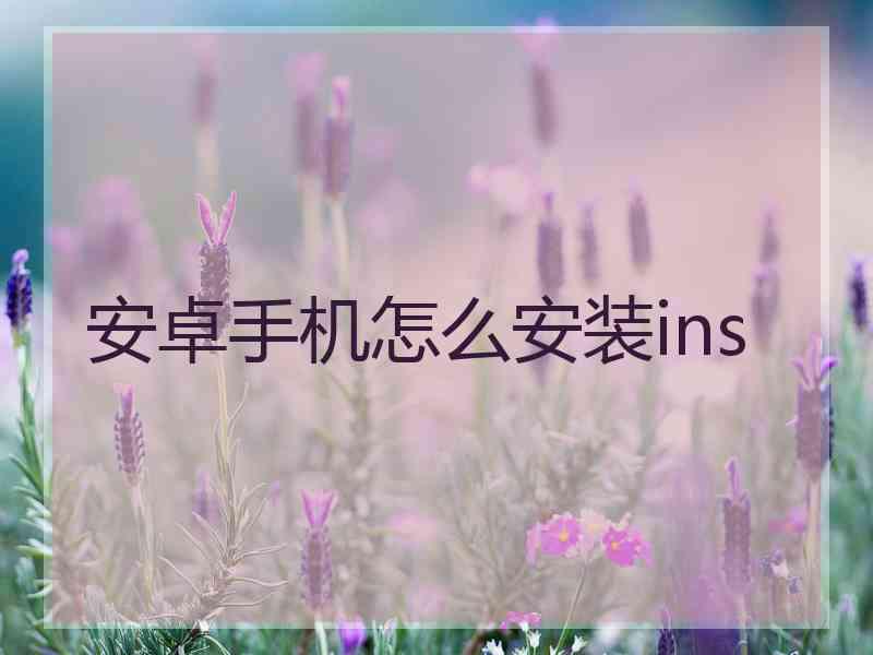 安卓手机怎么安装ins