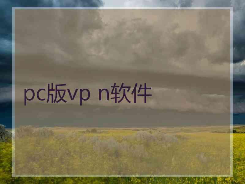 pc版vp n软件