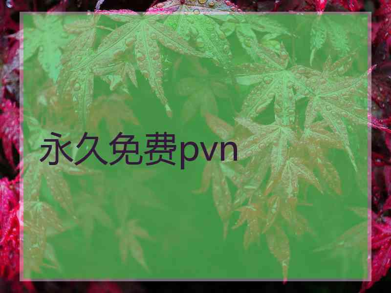 永久免费pvn