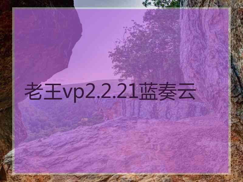 老王vp2.2.21蓝奏云