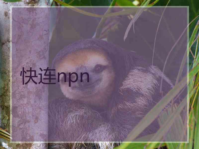快连npn