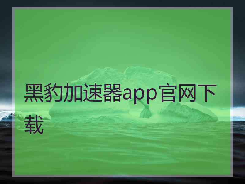 黑豹加速器app官网下载
