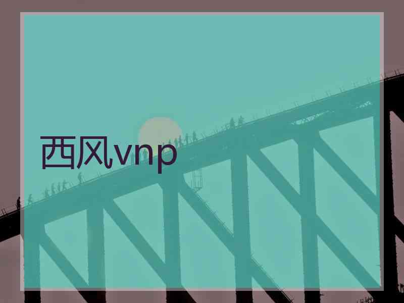 西风vnp