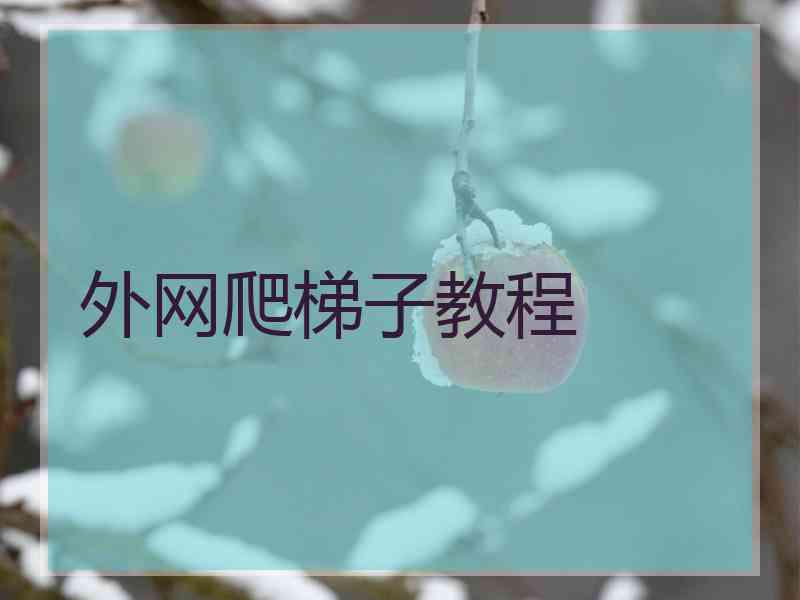 外网爬梯子教程