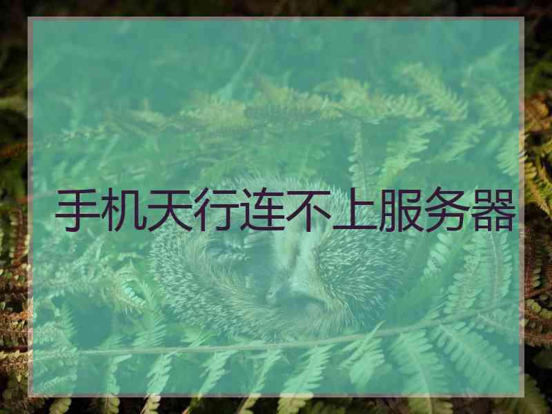 手机天行连不上服务器