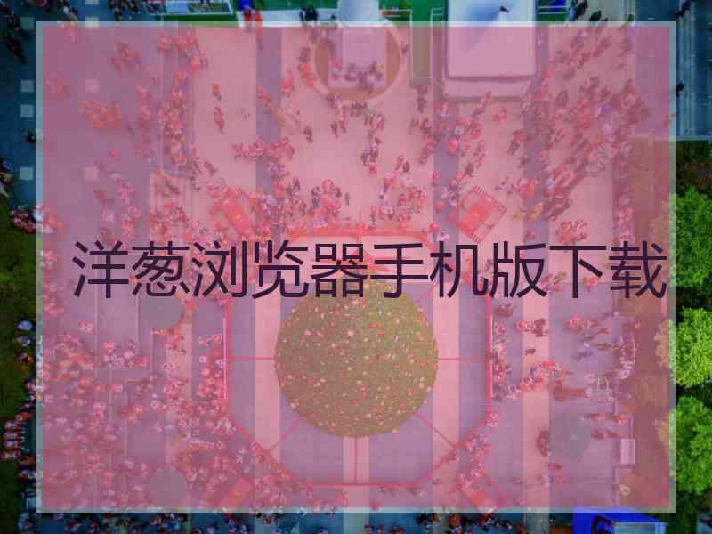 洋葱浏览器手机版下载