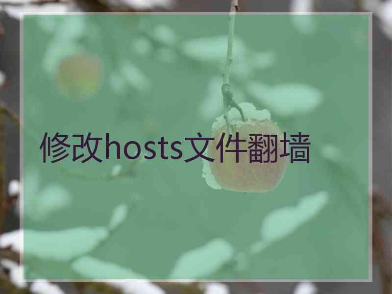 修改hosts文件翻墙