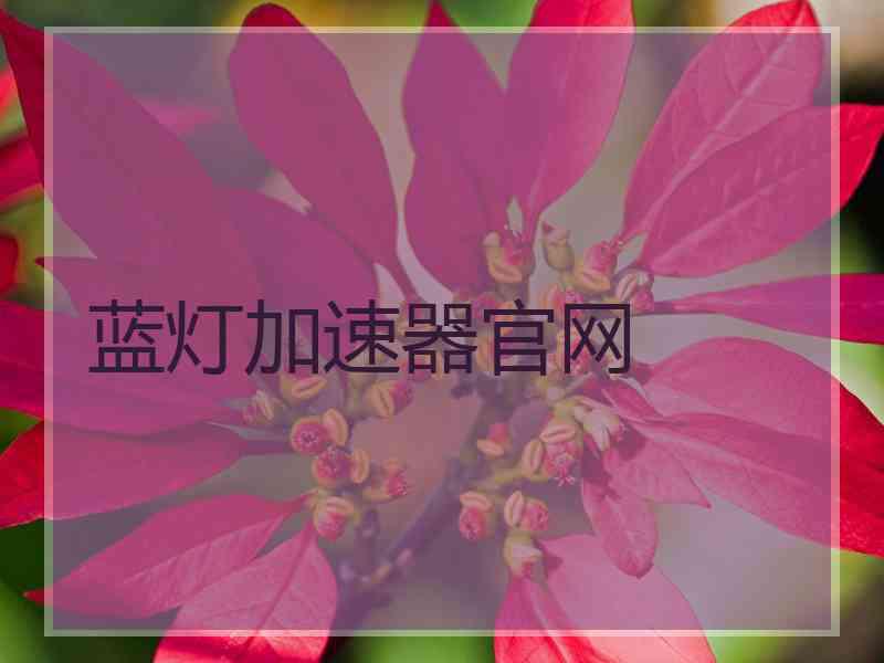 蓝灯加速器官网