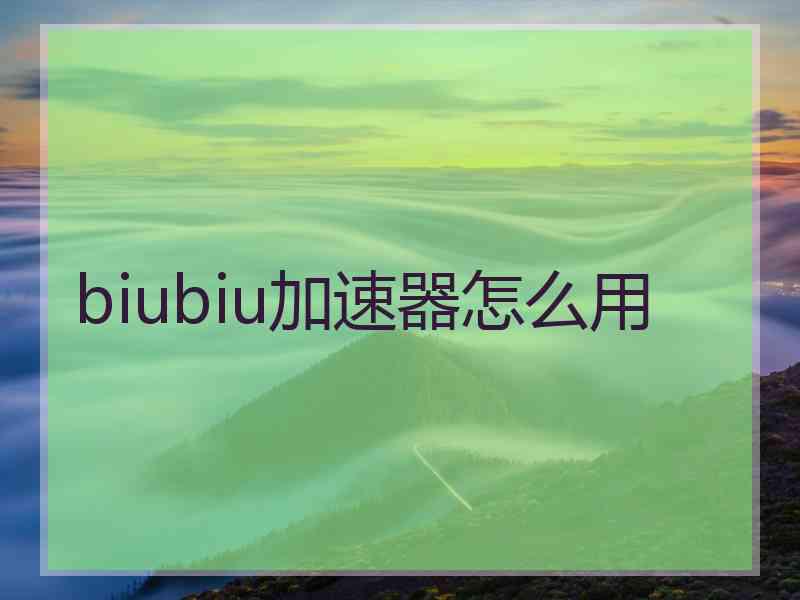 biubiu加速器怎么用