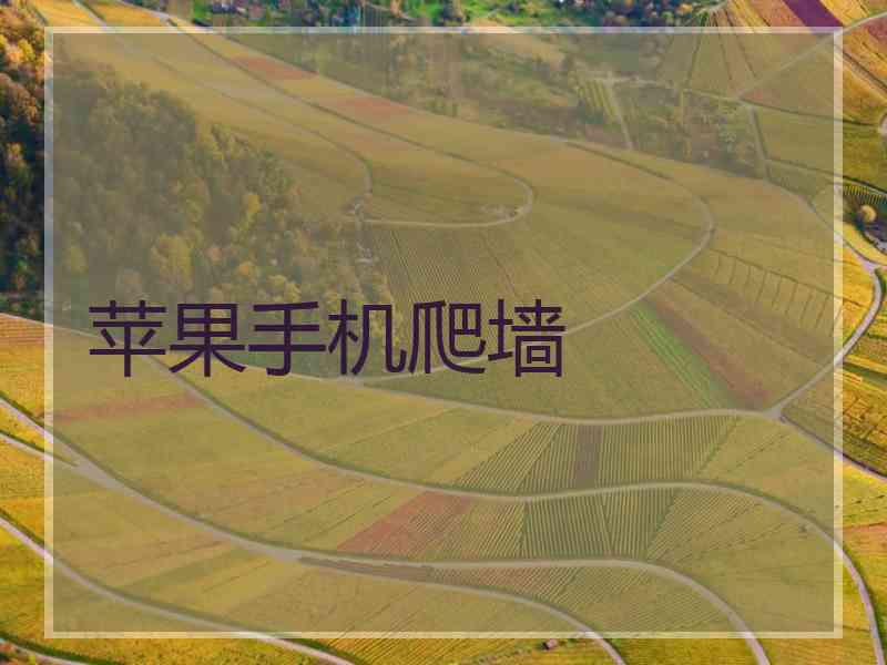 苹果手机爬墙