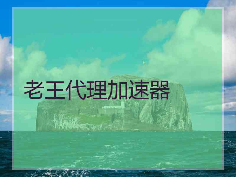 老王代理加速器