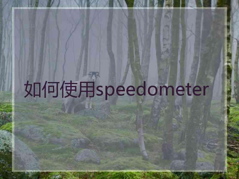 如何使用speedometer