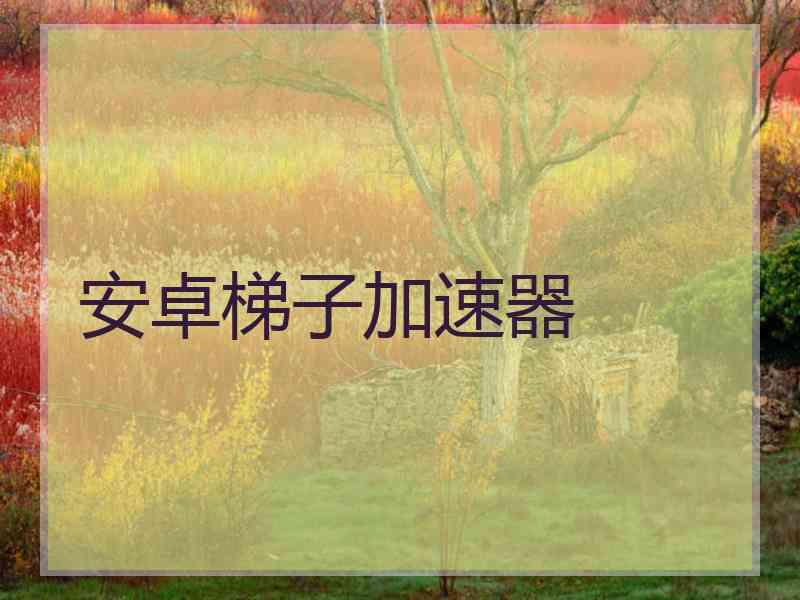 安卓梯子加速器