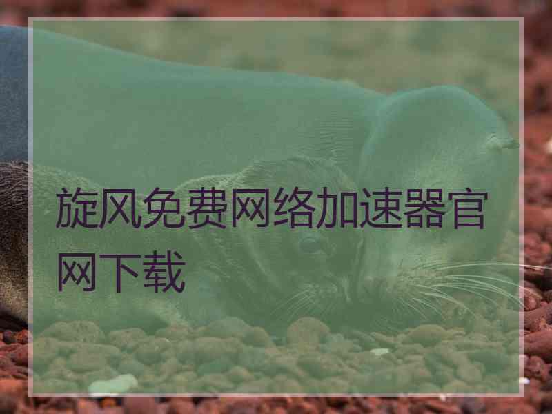 旋风免费网络加速器官网下载