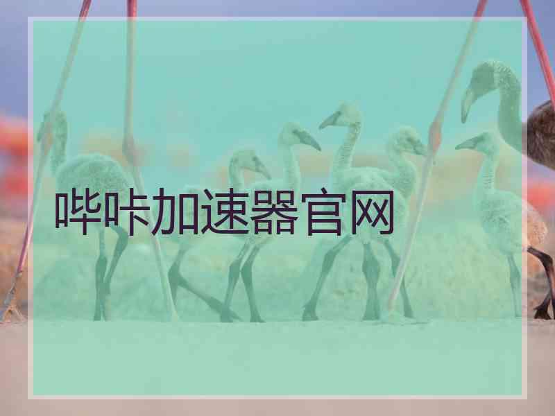 哔咔加速器官网