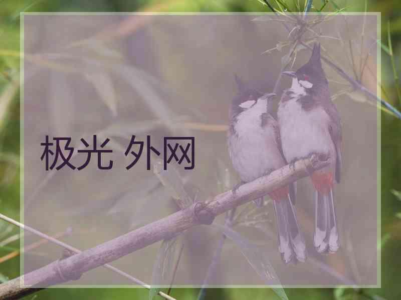 极光 外网