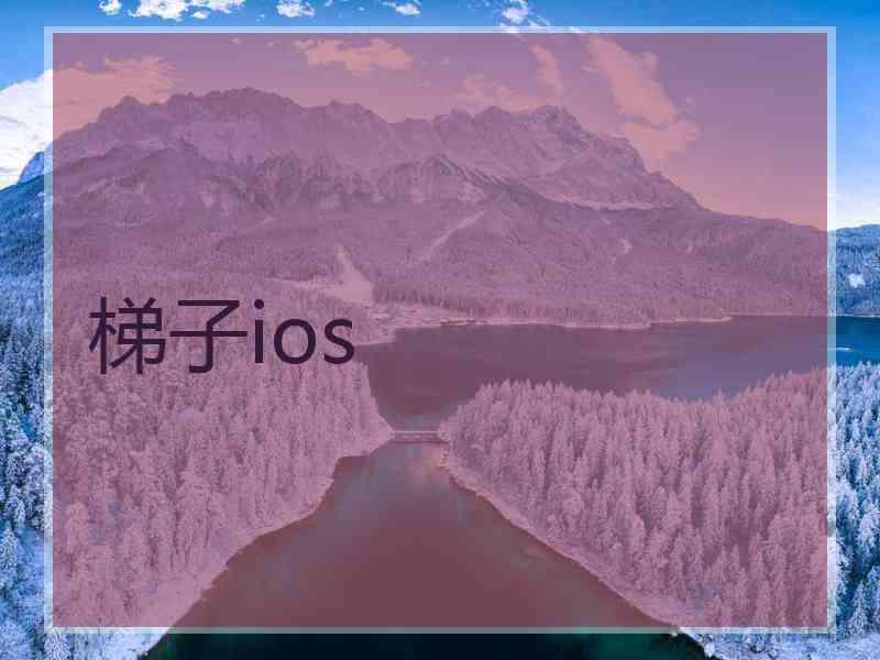 梯子ios