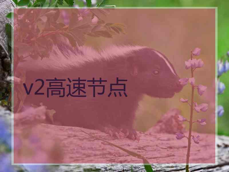 v2高速节点