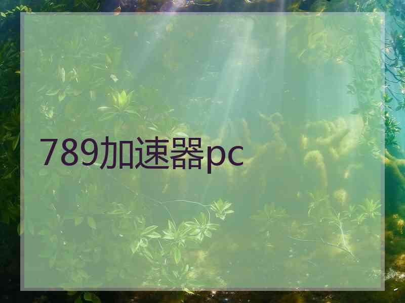 789加速器pc