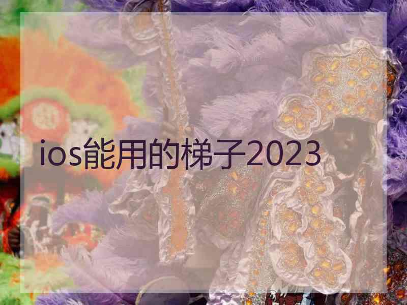ios能用的梯子2023