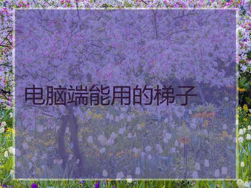 电脑端能用的梯子